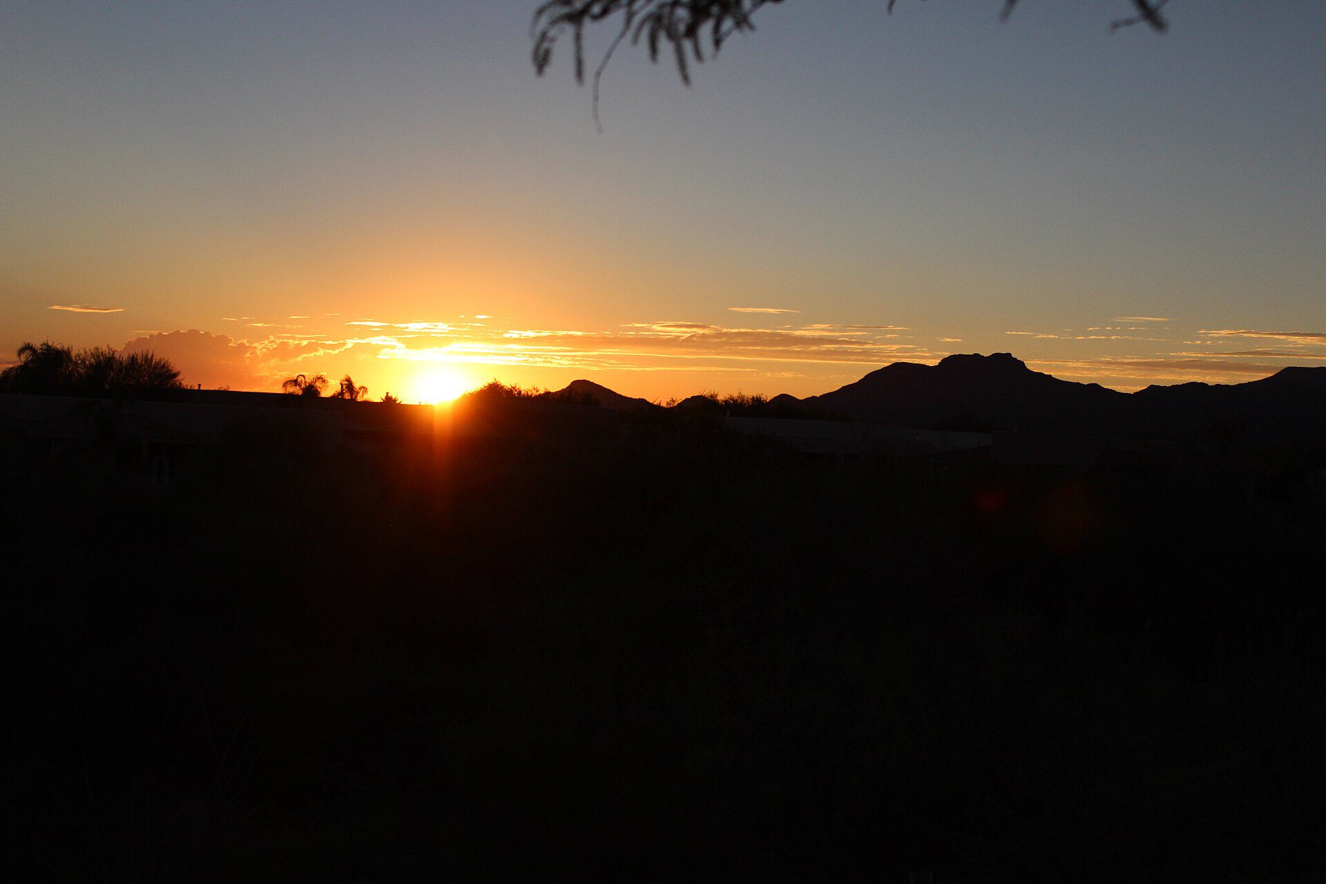 Medicare & Insurance Agent in Oro Valley, AZ 1 Oro Valley, AZ - local landmark